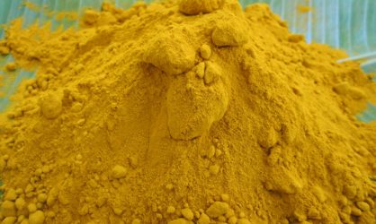 ขมิ้น ( Curcuma longa Linn )