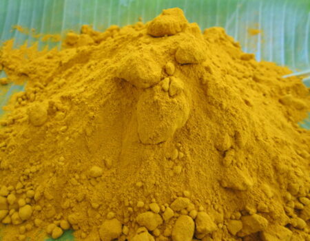 ขมิ้น ( Curcuma longa Linn )