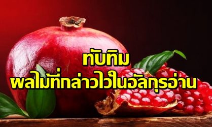 ทับทิม ผลไม้ที่กล่าวไว้ในคัมภีร์อัลกุรอ่าน