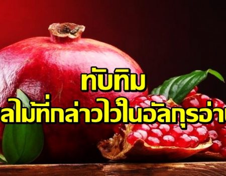 ทับทิม ผลไม้ที่กล่าวไว้ในคัมภีร์อัลกุรอ่าน