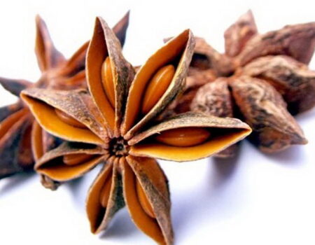 โป๊ยกั๊ก Star Anise