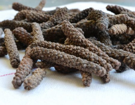 ดีปลี ( India Long Pepper )