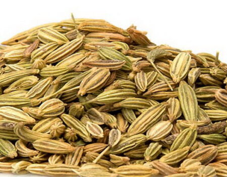 เทียนข้าวเปลือก Fennel Seed