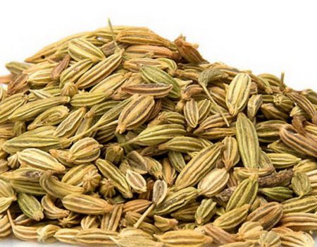 เทียนข้าวเปลือก Fennel Seed