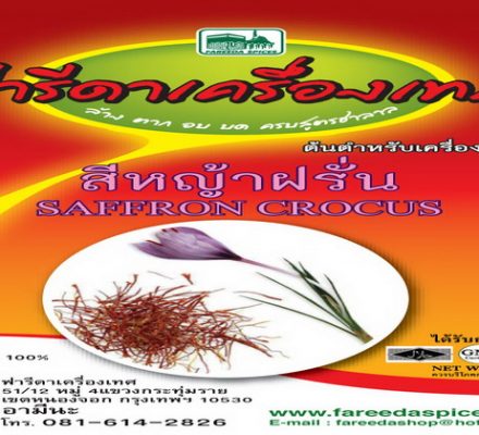 Saffron Crocus