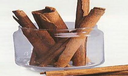 อบเชย Cinnamon