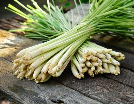 ตะไคร้ ( Lemon Grass )