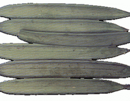 เพกา