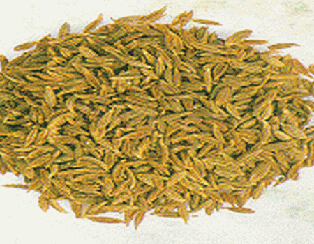 เมล็ดยี่หร่า ( Caraway Seed )