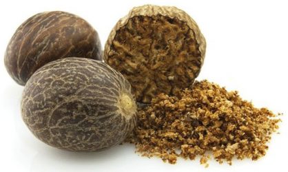 ลูกจันทร์ ( Nutmeg Seed )